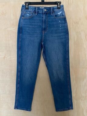 Abercrombie & Fitch  the mom Blue High-Rise Straight Jeans size 27/4
